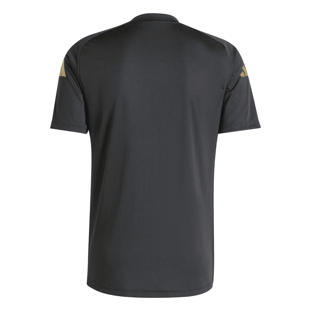 Camisa Argentina Pré-Jogo 25/26