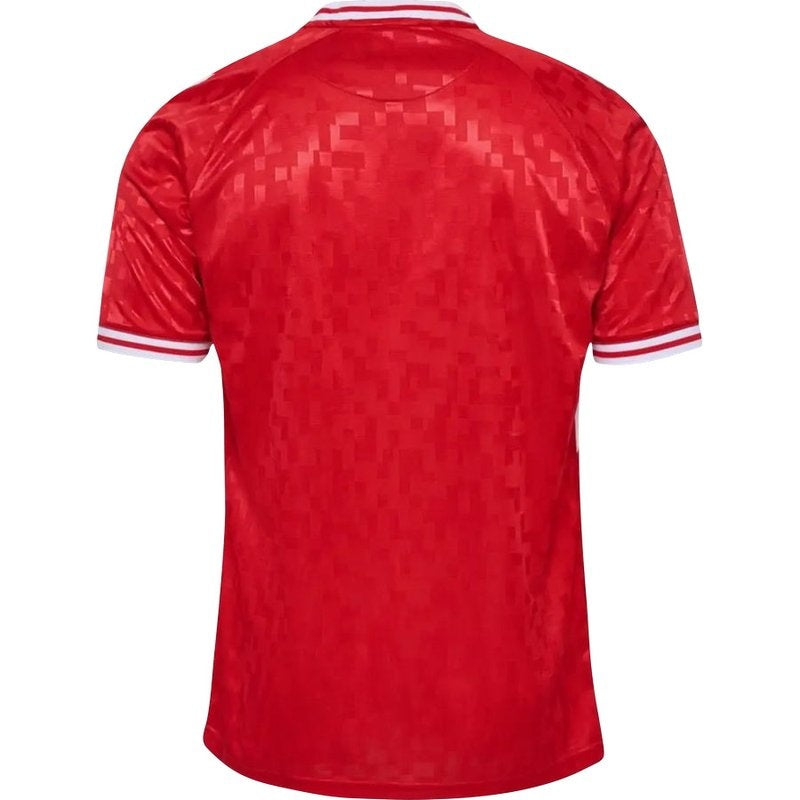 Camisa Dinamarca I 24/25