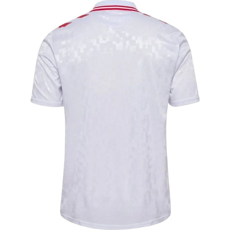Camisa Dinamarca II 24/25